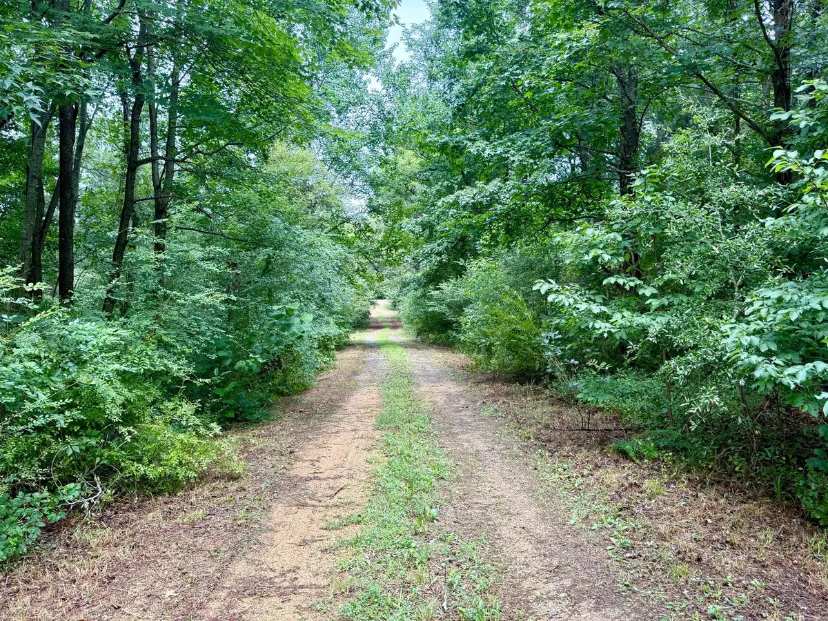 45291 Take It Easy Ranch Rd, Callaway, MD 20620 - #1