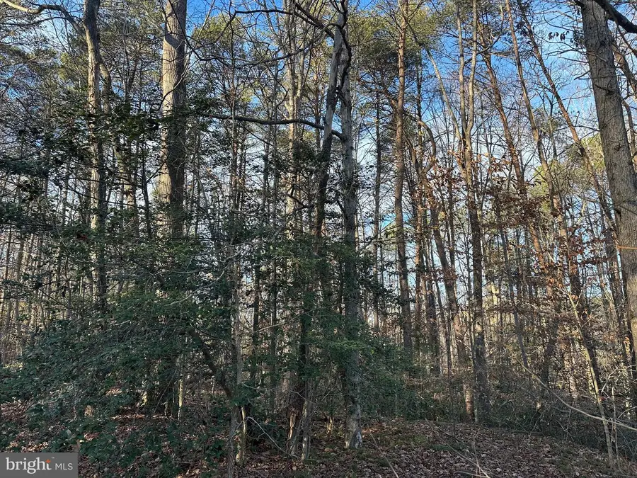 41180 Living Water Ln, Mechanicsville, MD 20659 - #2