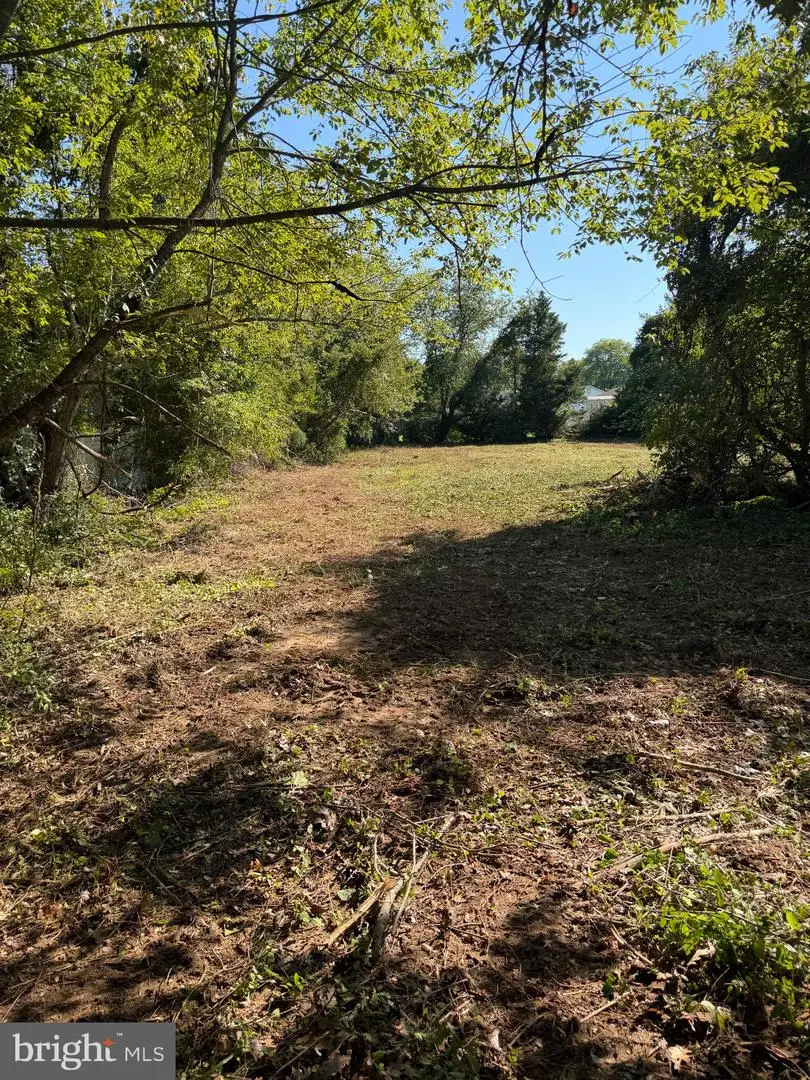 Lake Drive, Valley Lee, MD 20692 - #3
