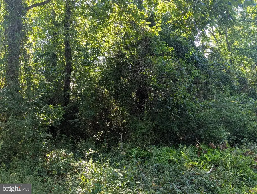 Oakley Dr, Bushwood, MD 20618 - #3