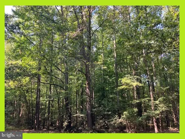 Skyview Dr, Bushwood, MD 20618 - #1