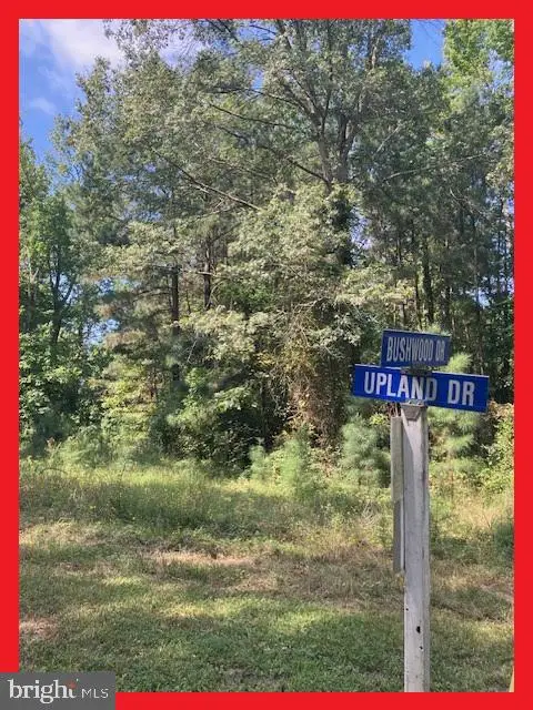 Lot 18 Woodbush Dr, Bushwood, MD 20618 - #1