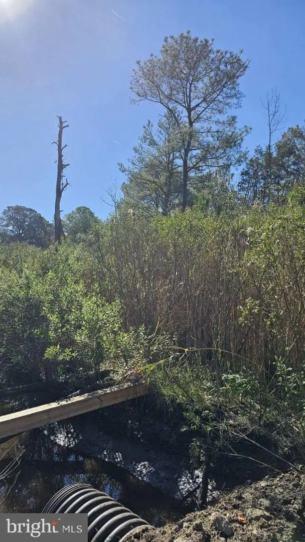 0 Asbury Ave, Crisfield, MD 21817 - Image #3