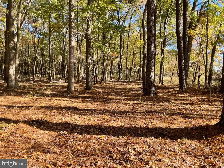 5051 Wayman Rd, Marion Station, MD 21838 - Image #3