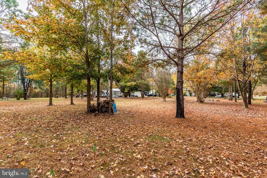 24653 Mcinturff Rd, Dames Quarter, MD 21821 - Image #3