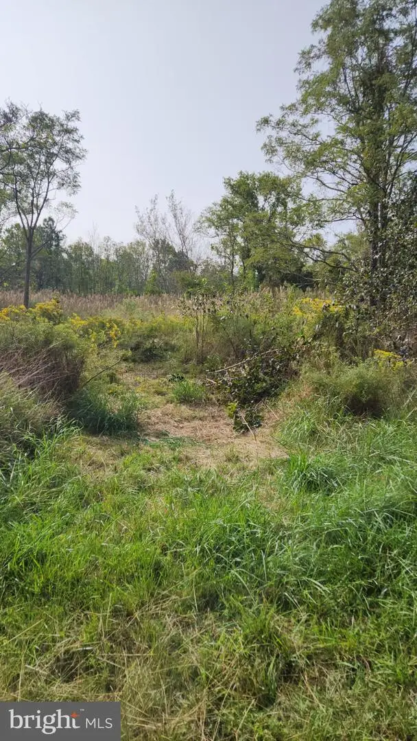 0 Riley Roberts Road, Deal Island, MD 21821 - Image #1