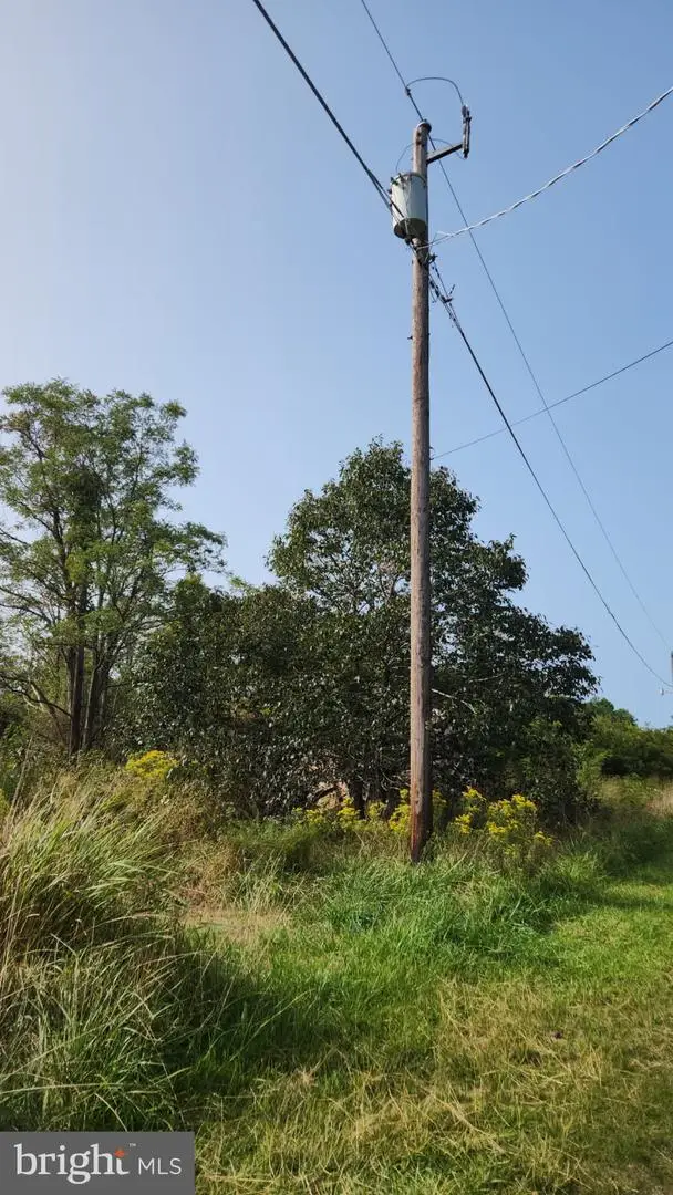 0 Riley Roberts Road, Deal Island, MD 21821 - Image #3