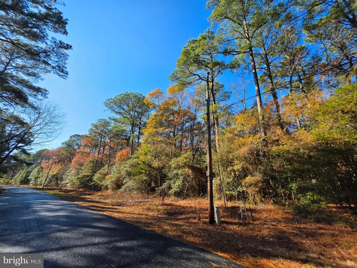 0 Roland Parks, Chance, MD 21821 - Image #1