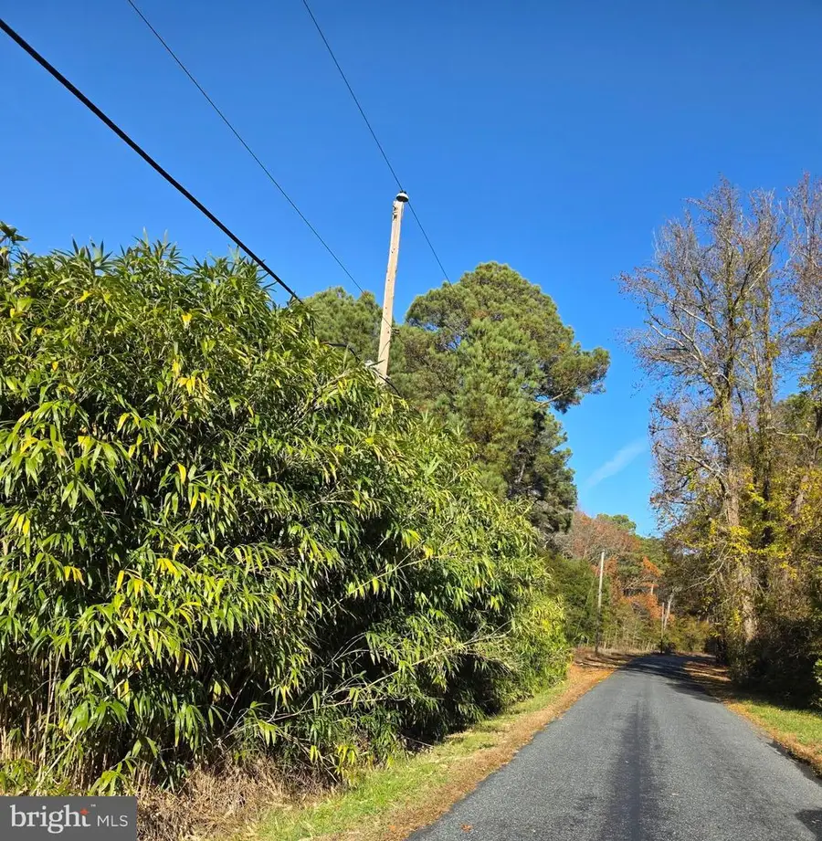 0 Roland Parks, Chance, MD 21821 - Image #2