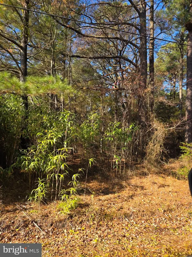 0 Roland Parks, Chance, MD 21821 - Image #3