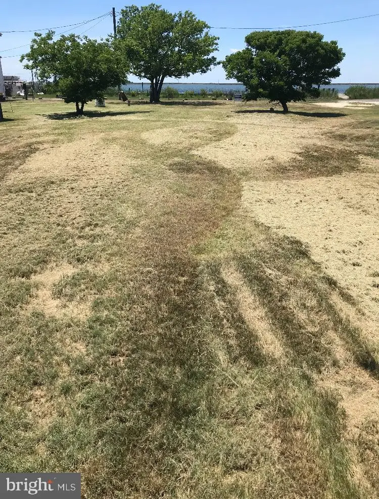 Parcels 9 + 14 Tylerton Rd, Tylerton, MD 21866 - Image #1