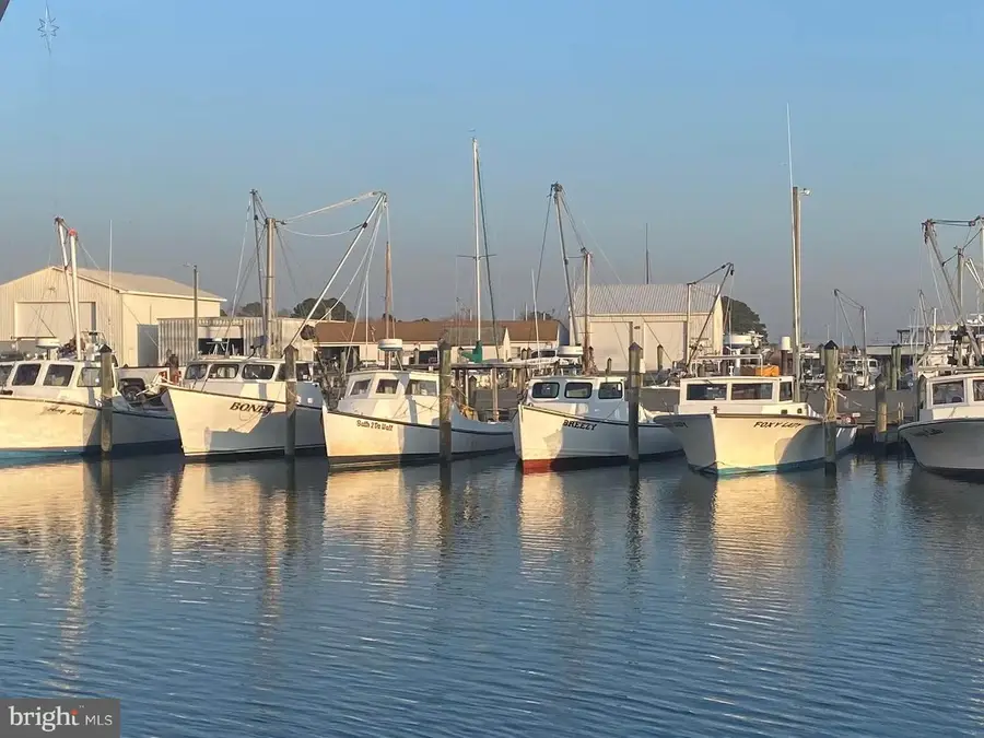 23258 Hastings Dr, Chance, MD 21821 - Image #2