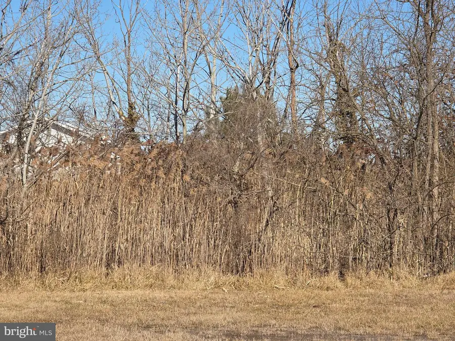 0 Charlotte Ave, Crisfield, MD 21817 - Image #3