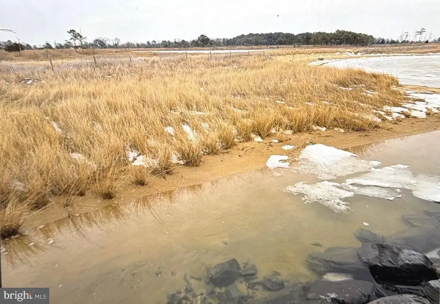 0 Crowell Rd, Deal Island, MD 21821 - #2