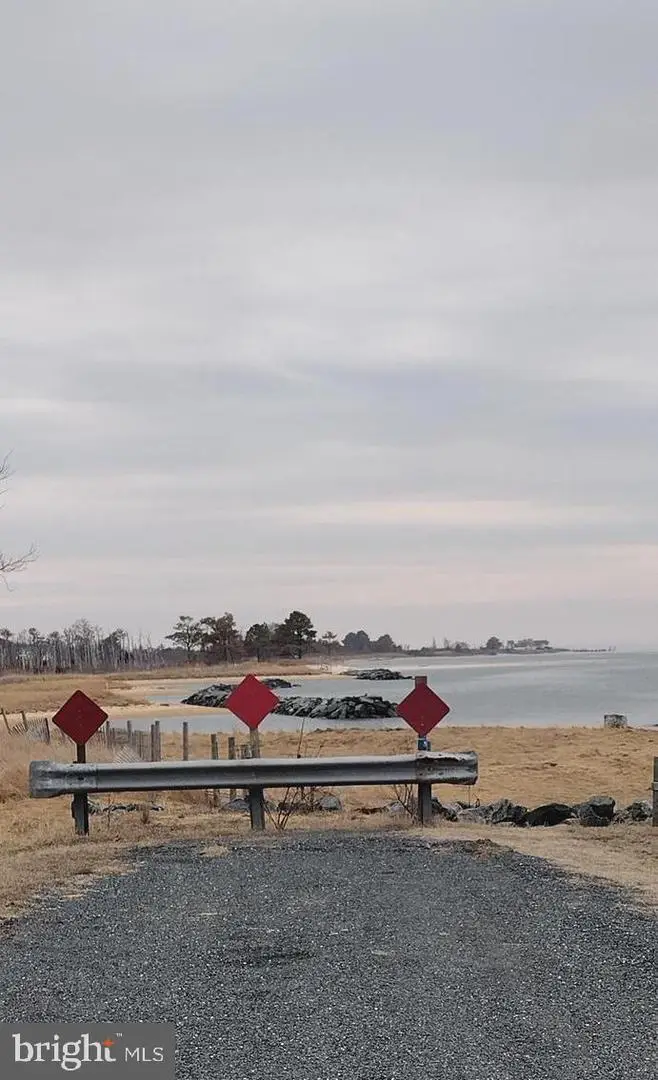 0 Crowell Rd, Deal Island, MD 21821 - #3