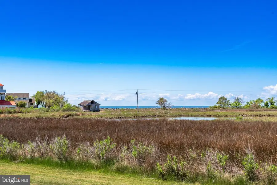 23212 Haines Point Rd, Chance, MD 21821 - #2