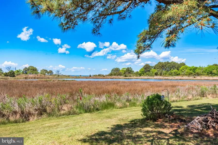 23212 Haines Point Rd, Chance, MD 21821 - #3