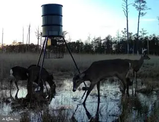 007 Mt. Vernon Rd, Princess Anne, MD 21853 - #1