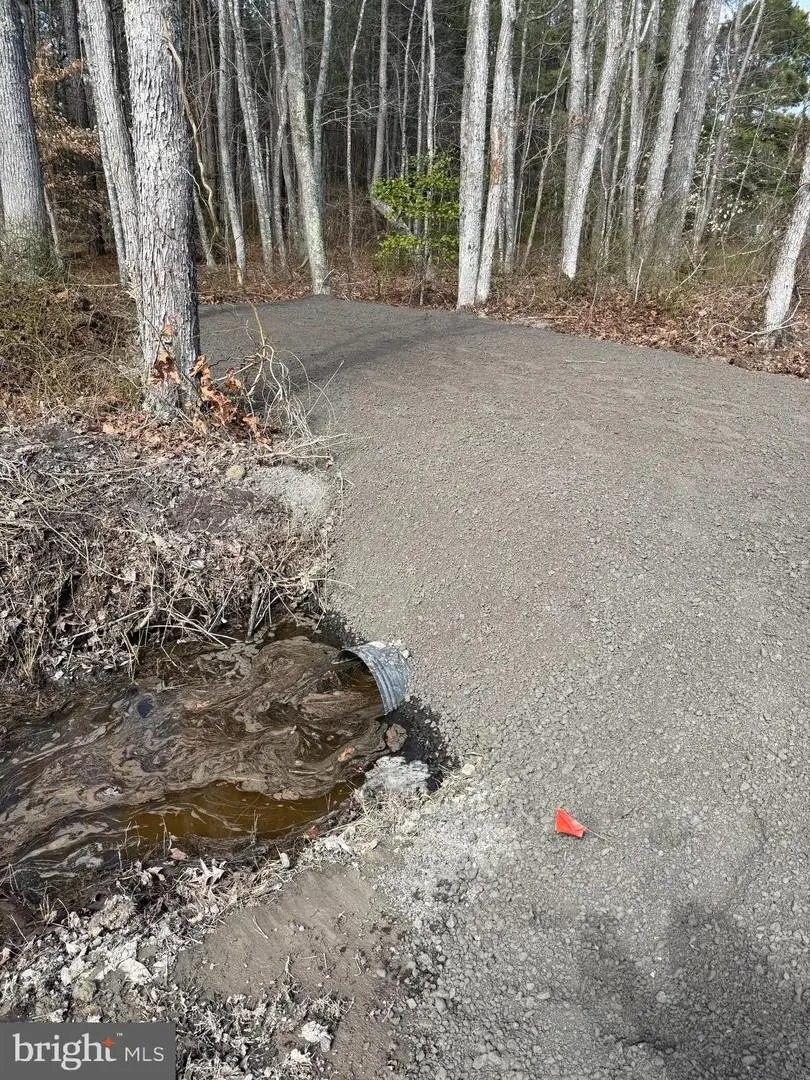 0 Anderson Rd, Princess Anne, MD 21853 - #2