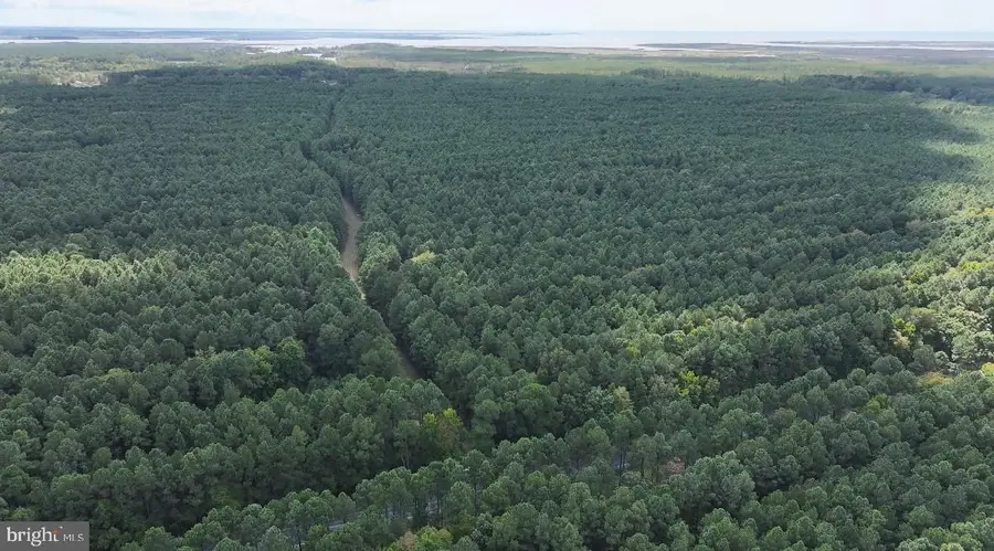 0 Deal Island Rd, Princess Anne, MD 21853 - #3