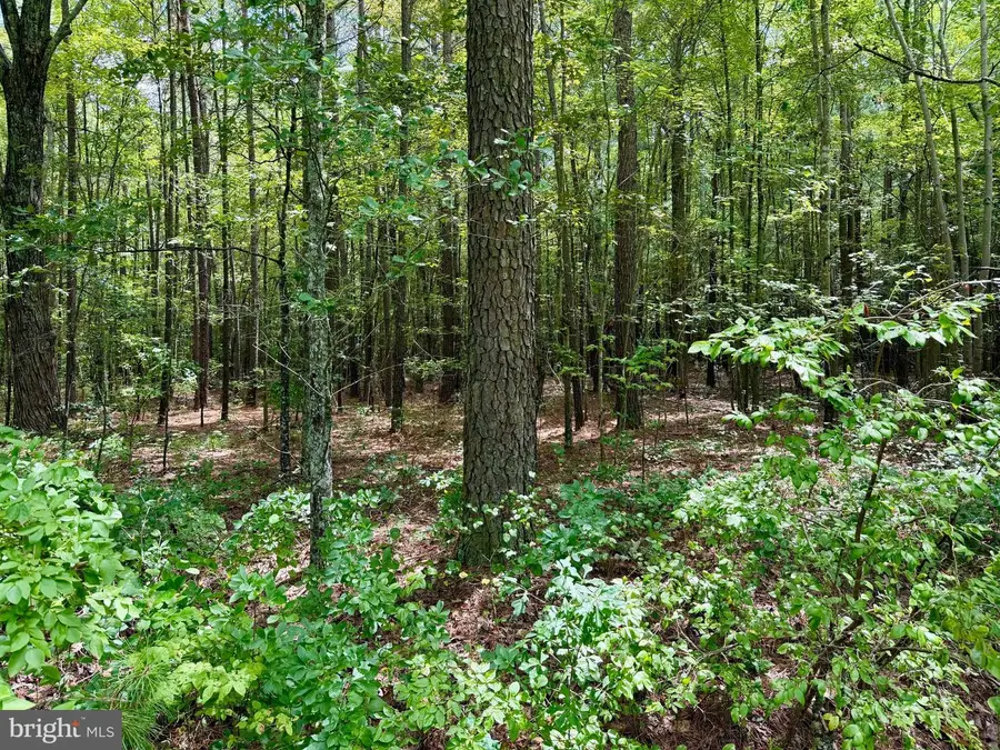 0 Deal Island Rd, Princess Anne, MD 21853 - #2
