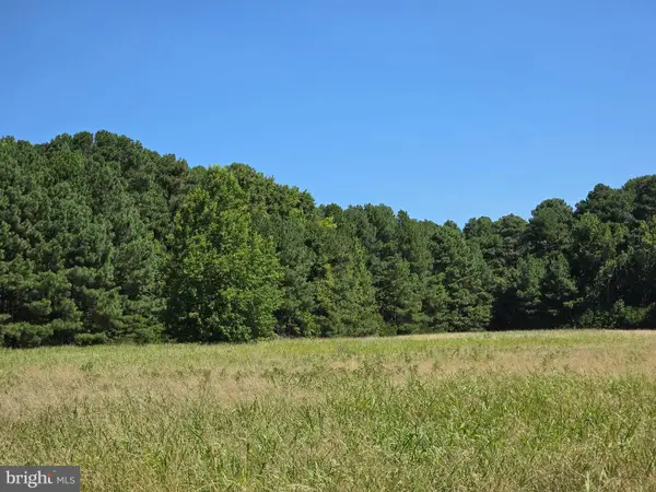 Roland Parks Rd, CHANCE, MD 21821