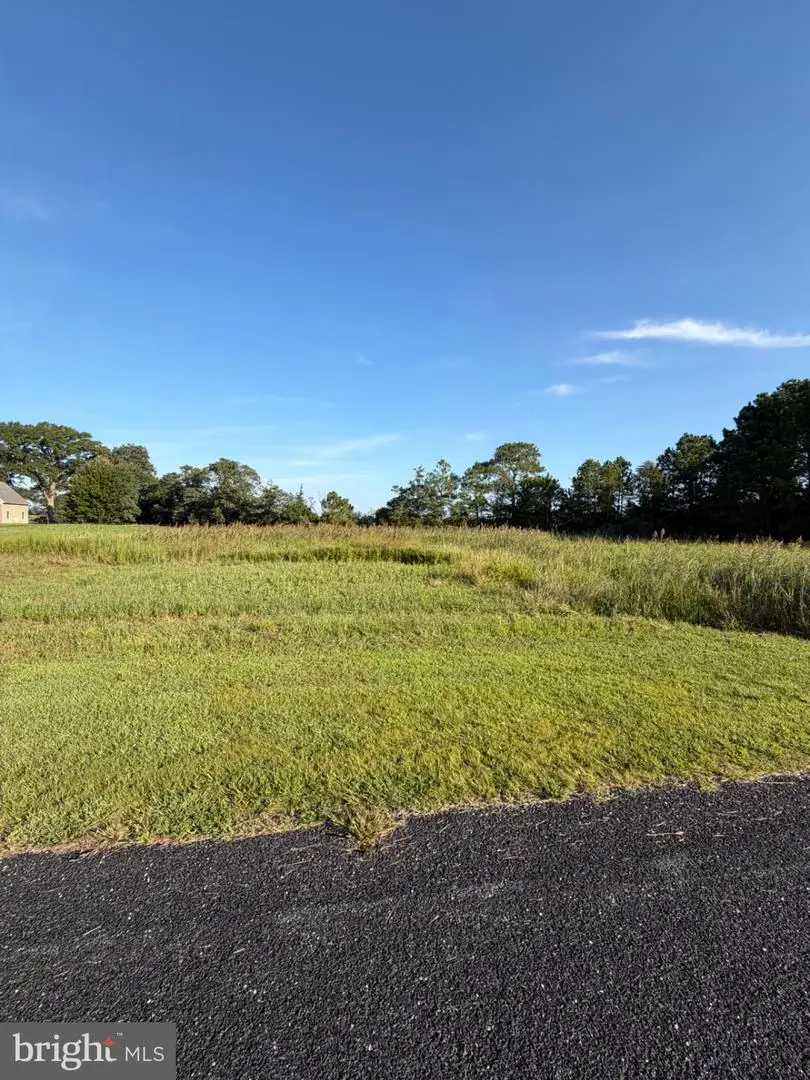 28224 Merlin Ct, Princess Anne, MD 21853 - #2