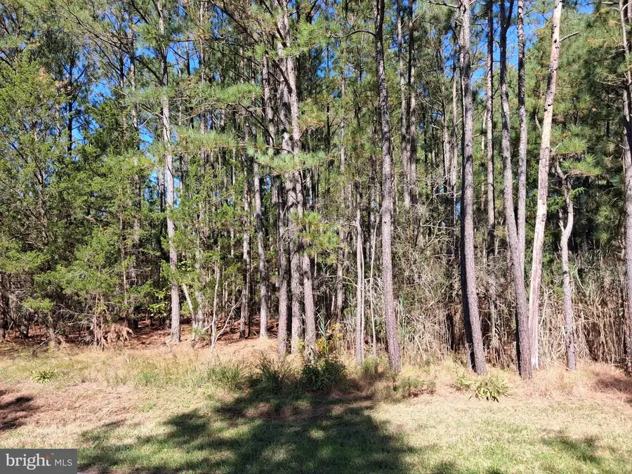 27360 Oriole Rd, Princess Anne, MD 21853 - #2