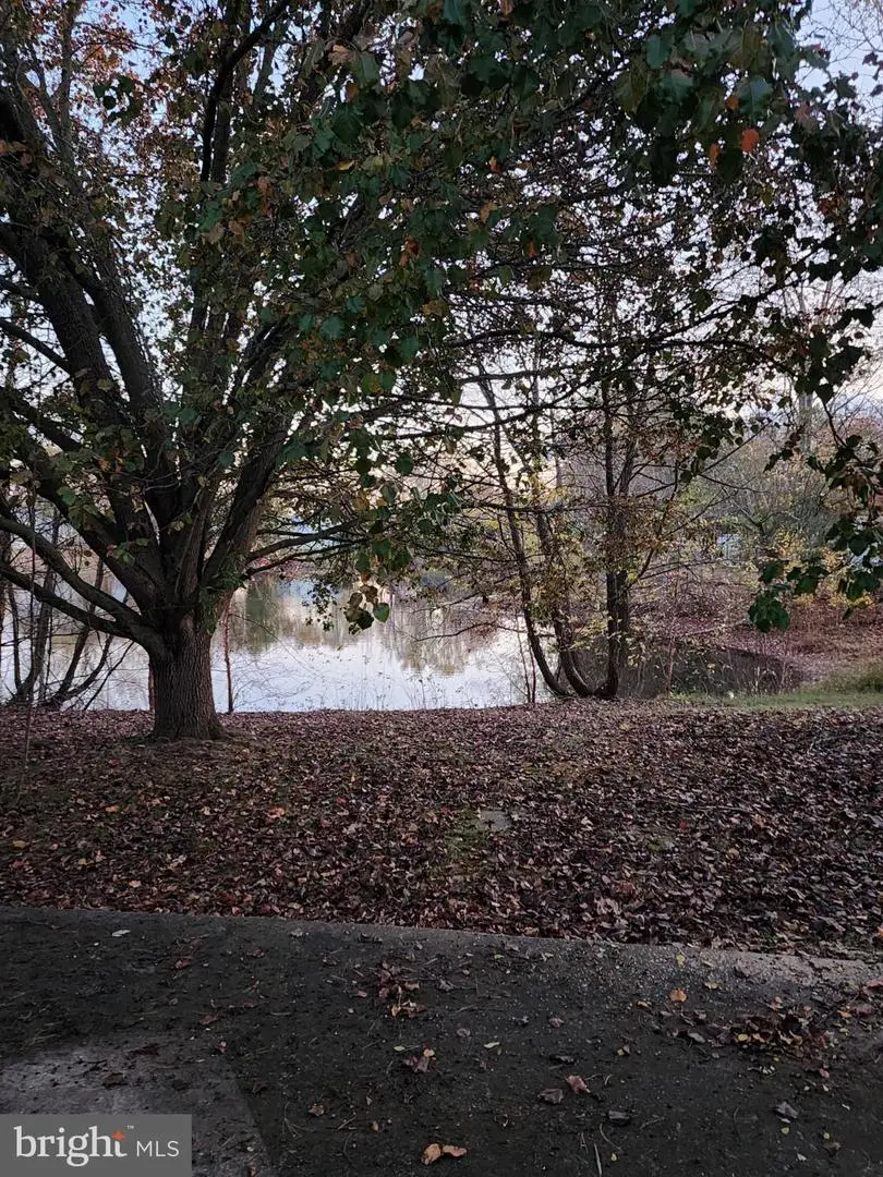 3967 Harrison Cir, Trappe, MD 21673 - Image #3