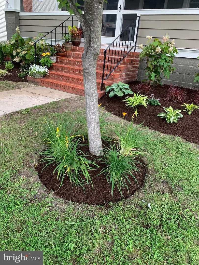 107 W Chestnut St, Saint Michaels, MD 21663 - Image #3