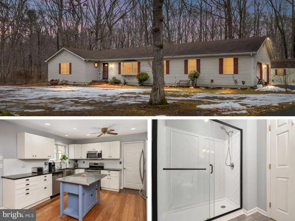 8953 Treesdale Dr, Easton, MD 21601 - #1