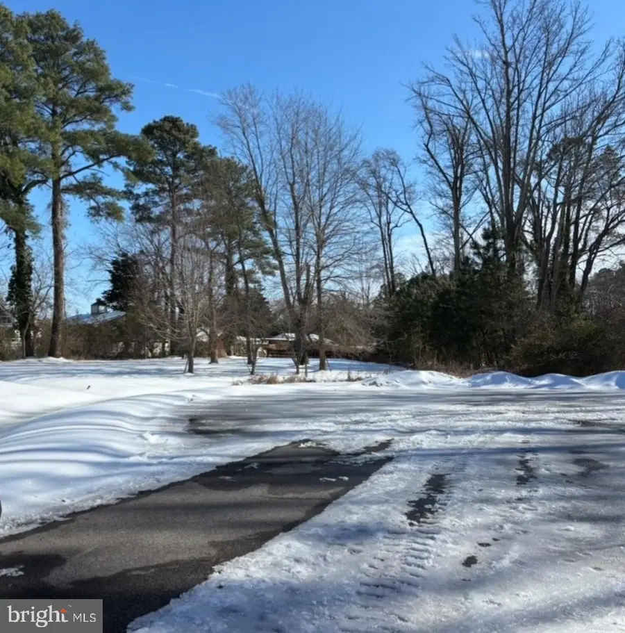 117 Chesapeake Ave., Saint Michaels, MD 21663 - Image #3