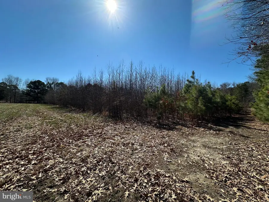 Cooper Point Rd, Bozman, MD 21612 - #3