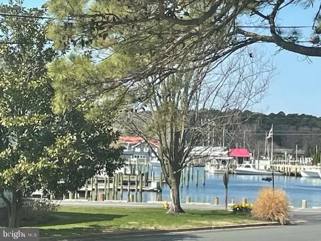 303 Manor, Saint Michaels, MD 21663 - #3