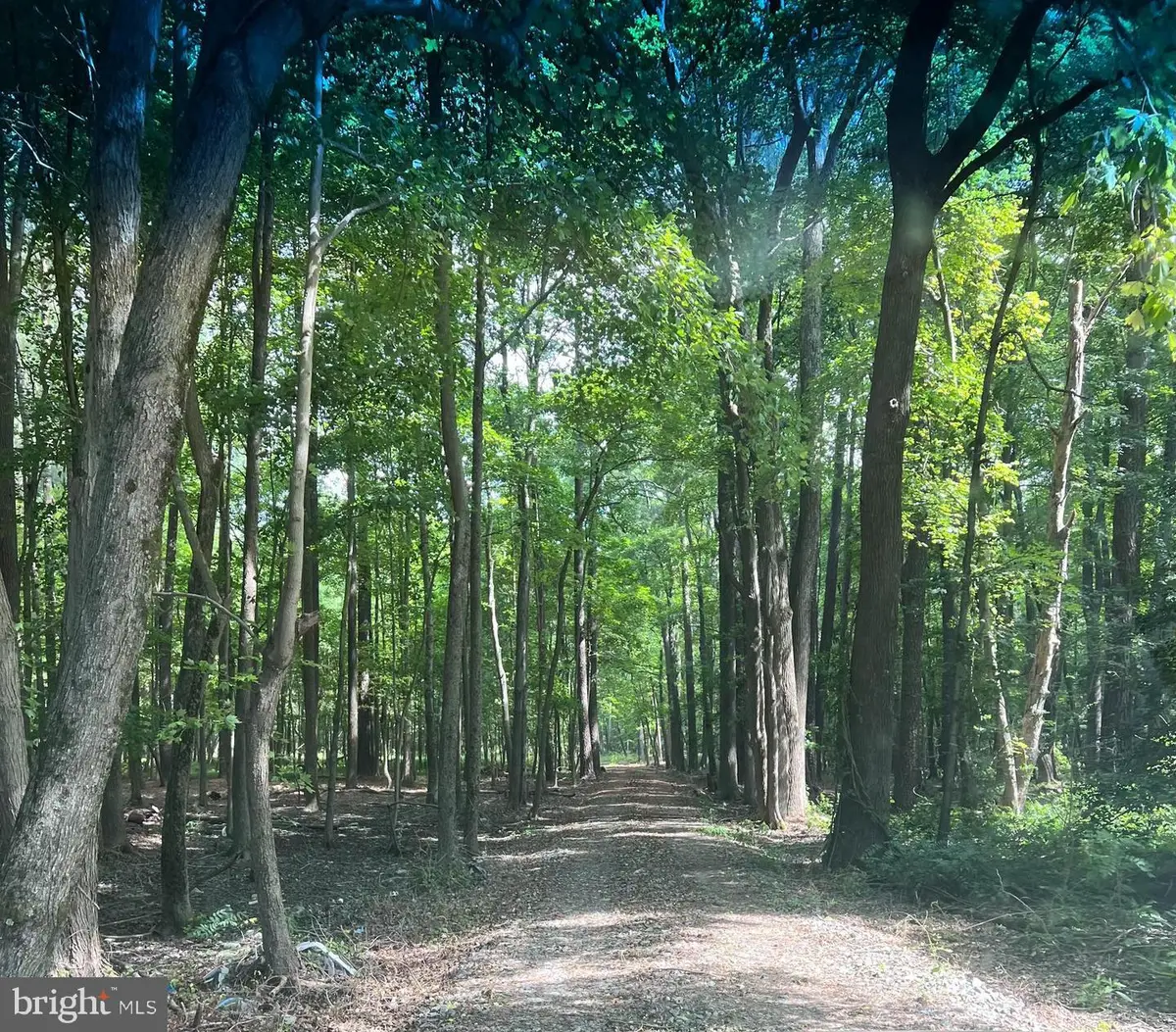 0 Deep Neck Rd, Royal Oak, MD 21662 - #1