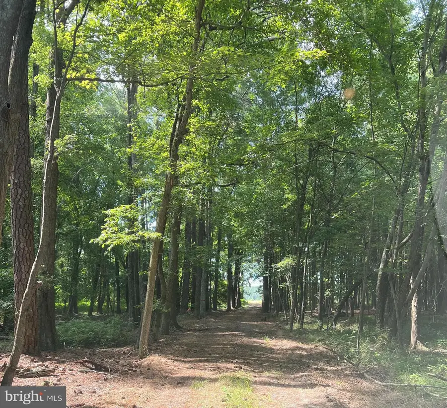 0 Deep Neck Rd, Royal Oak, MD 21662 - #2