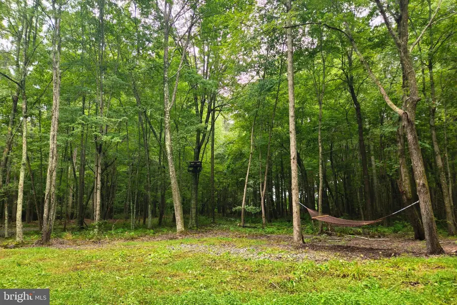 0 Deep Neck Rd, Royal Oak, MD 21662 - #3