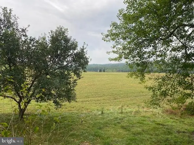 11034 Big Pool Rd, Big Pool, MD 21711 - #2