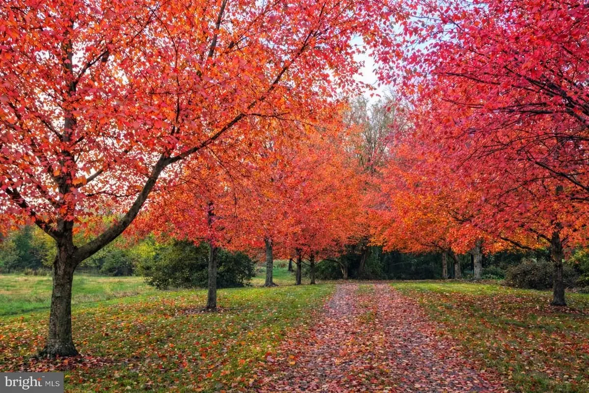 120 Old National Pike, Hagerstown, MD 21740 - #1