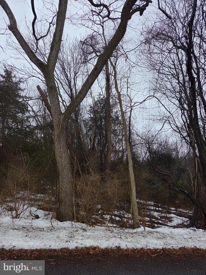 Mountain Laurel Rd, Boonsboro, MD 21713 - #1