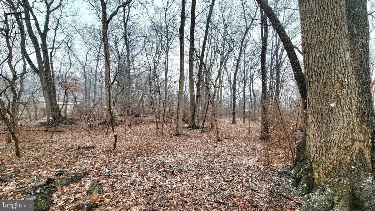 8403 Country Home Ln, Boonsboro, MD 21713 - #1