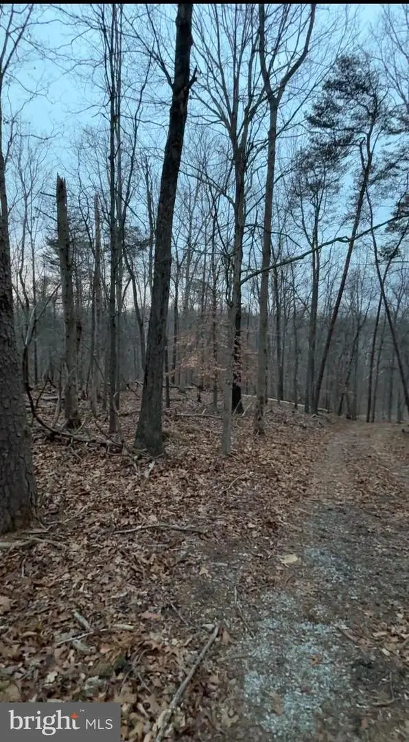 Lot 2, Parcel 240 Harpers Ferry Rd, Knoxville, MD 21758 - #2