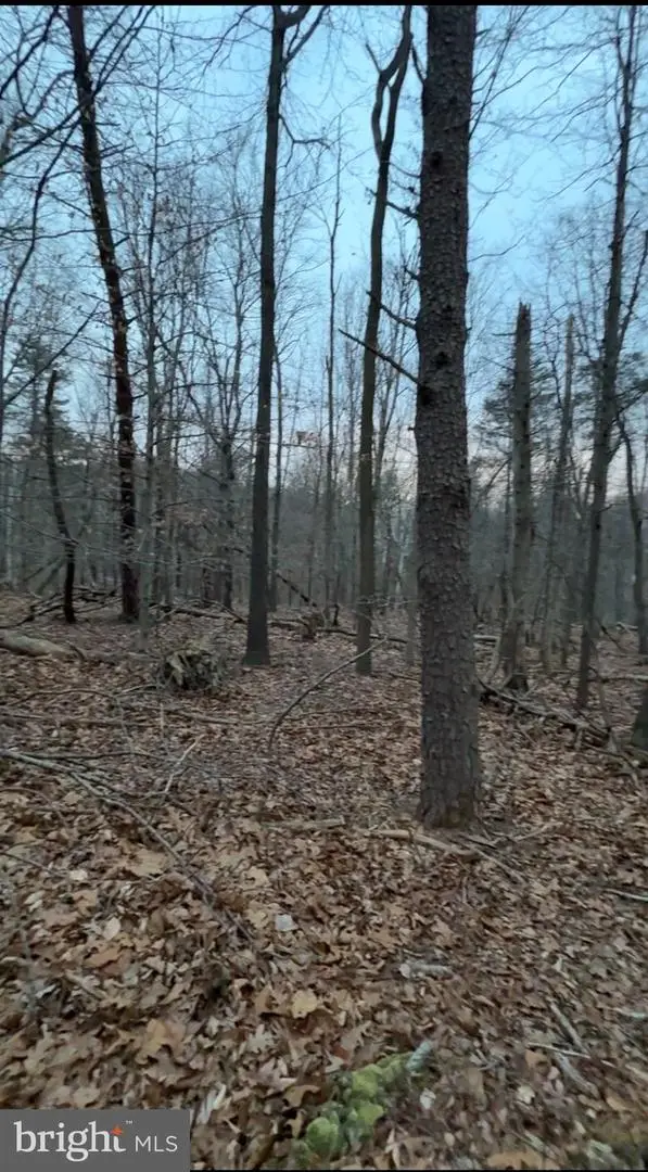 Lot 2, Parcel 240 Harpers Ferry Rd, Knoxville, MD 21758 - #3