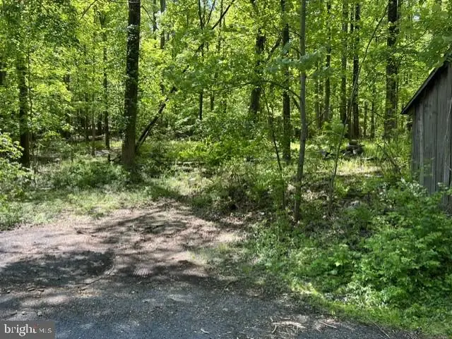21410 Swope Rd, Boonsboro, MD 21713 - #2