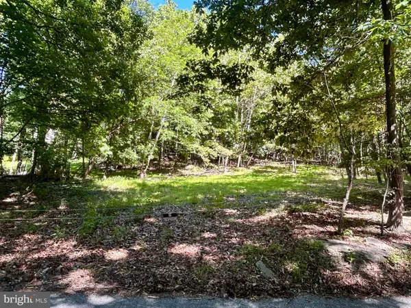 Hoffmaster Rd, KNOXVILLE, MD 21758