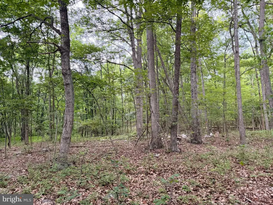 21908 White Oak Rd, Hagerstown, MD 21740 - #2