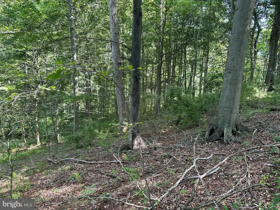 14118 Indian Springs Rd, Clear Spring, MD 21722 - #3