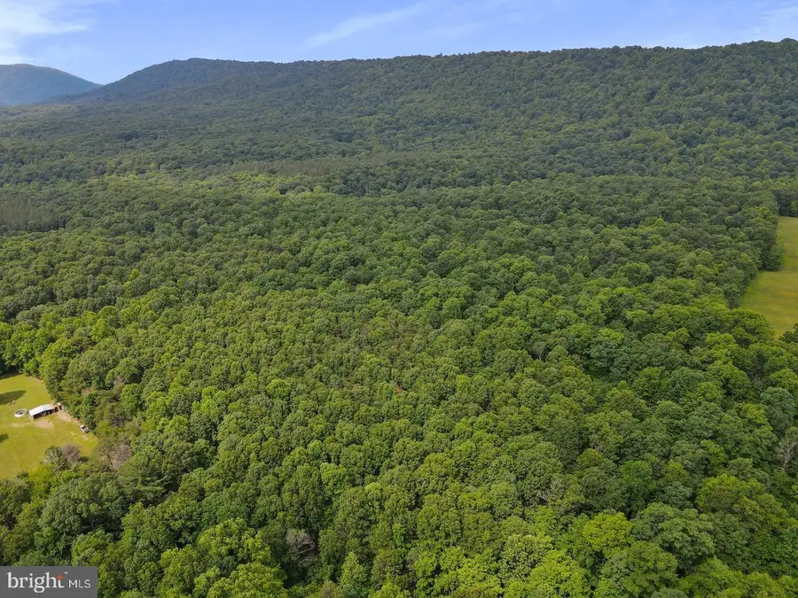 75.31+/- Acres Off Of Porters Ln, Hancock, MD 21750 - #2