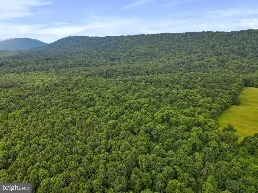 75.31+/- Acres Off Of Porters Ln, Hancock, MD 21750 - #3