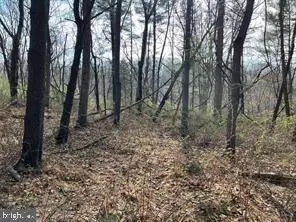 Lot 10 Shanktown Rd, Big Pool, MD 21711 - #1